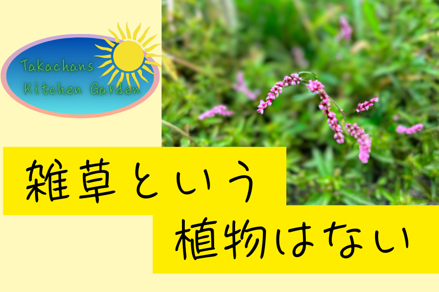 「雑草という植物はない」のアイキャッチ画像