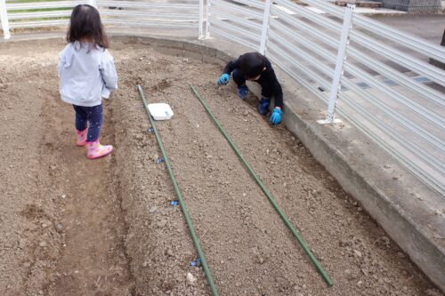 種を並べる子ども