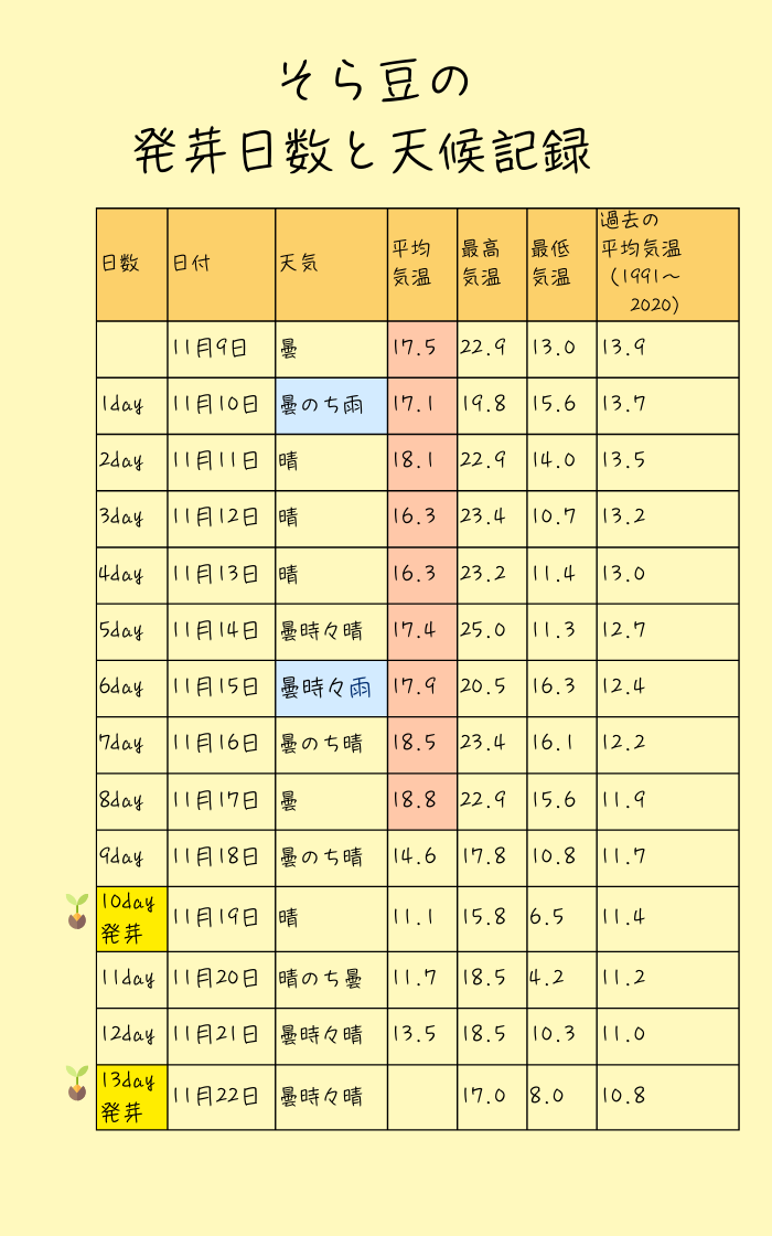 そら豆の発芽日数と天候記録