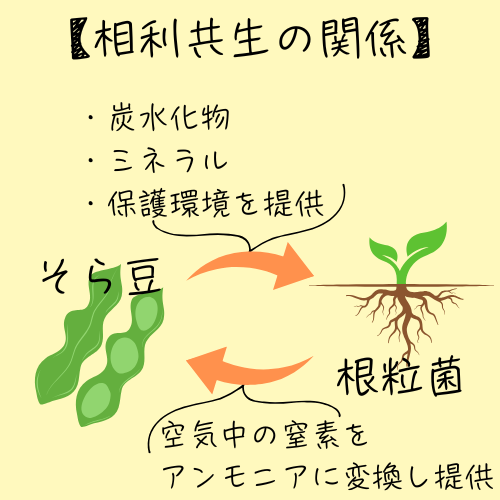 相利共生の関係図